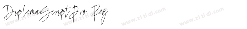 DiplomaScriptPro Reg字体转换